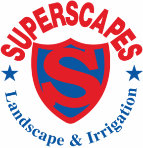 Superscapes 2 E1746570387930